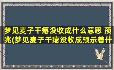 梦见麦子干瘪没收成什么意思 预兆(梦见麦子干瘪没收成预示着什么？解梦大揭秘！)